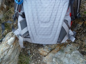 TNF Prophet - waist belt