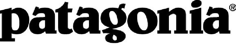 patagonia logo