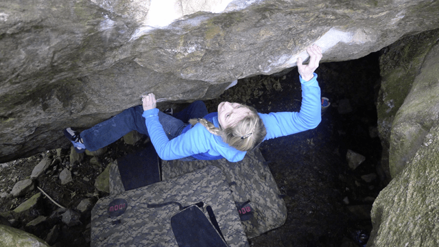 Tenaya Oasi - a great fit for performance.