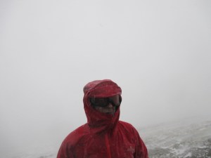 The hood kept everything winter threw at it out.