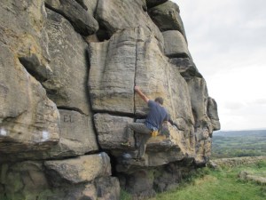 The Boreal Lynx performed well on grit.