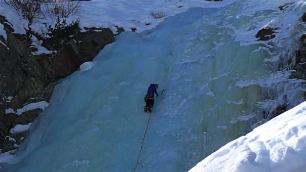 18578_334407354047_8219882_n