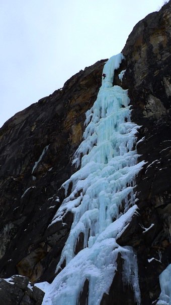 18578_334408974047_5048123_n