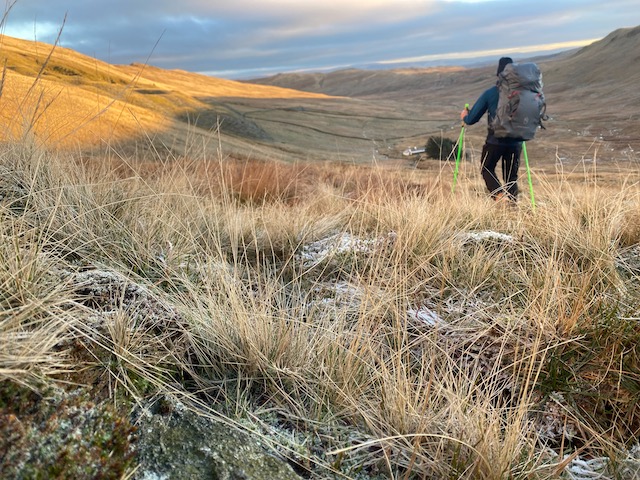 Osprey_Nimsdai_Mutant_90